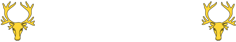 Renens Kabel-TV / Internet